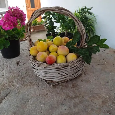 Casetta Eva Apartment