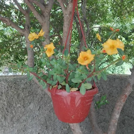 Apartment Casetta Eva